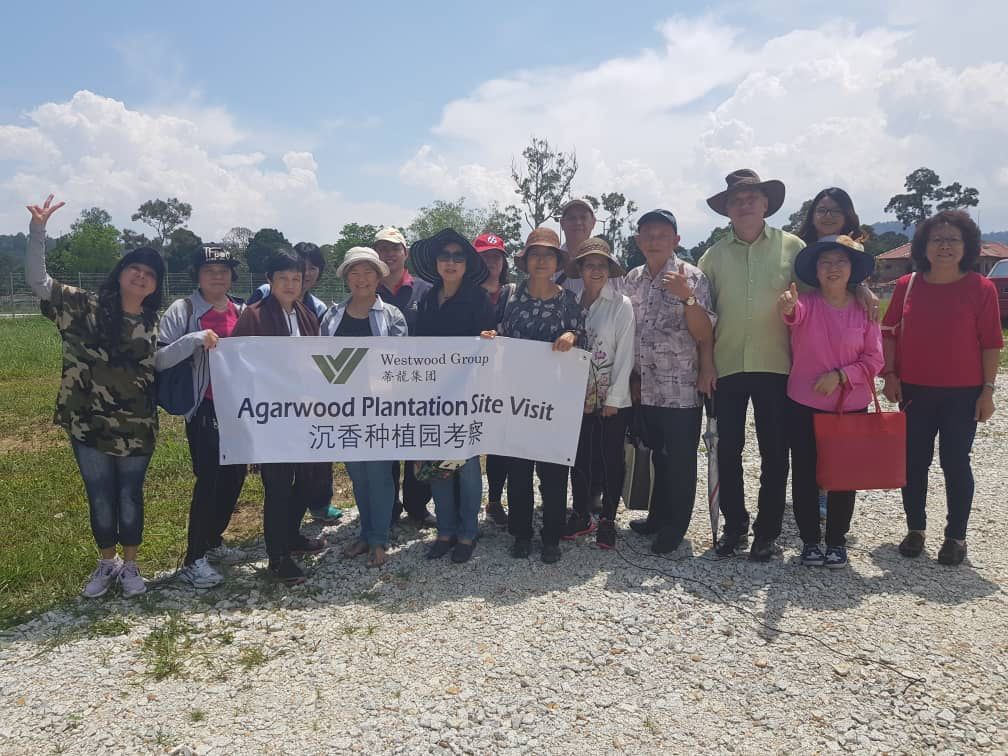 Agarwood Plantation Site Visit